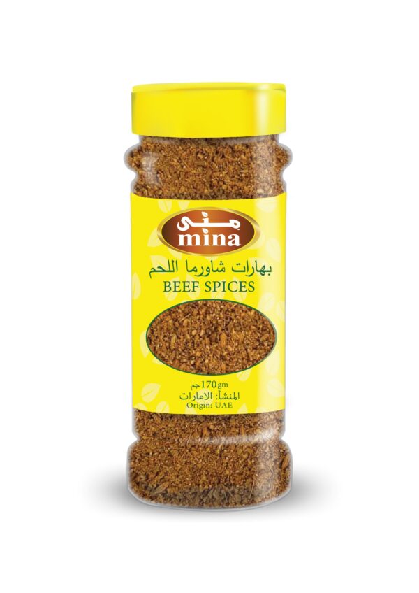 BEEF SPICES 170GM