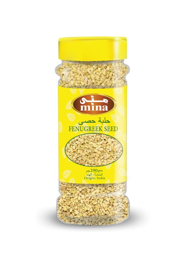 FENUGREEK SEED 290GM