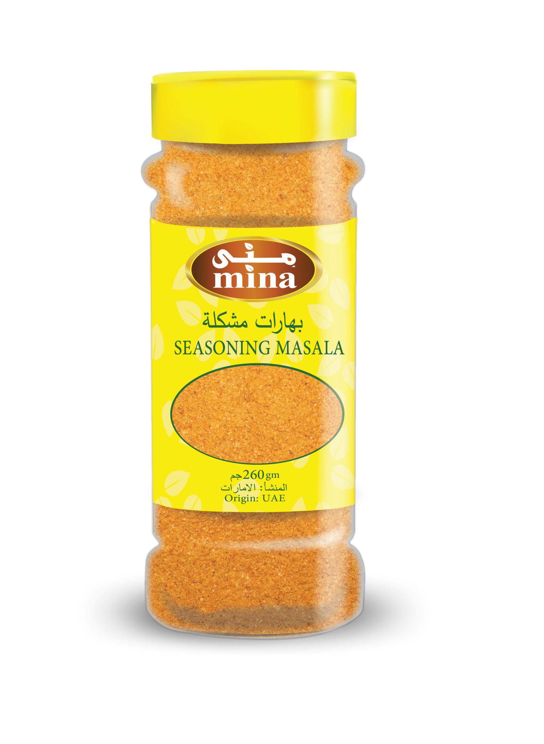 SEASONING MASALA 260GM