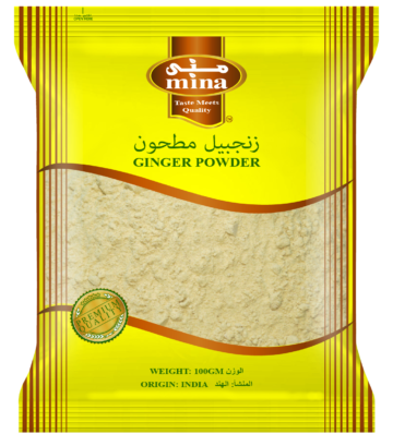 GINGER POWDER 100GM