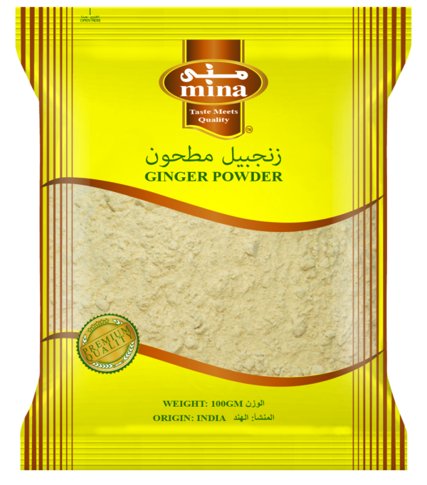 GINGER POWDER 100GM
